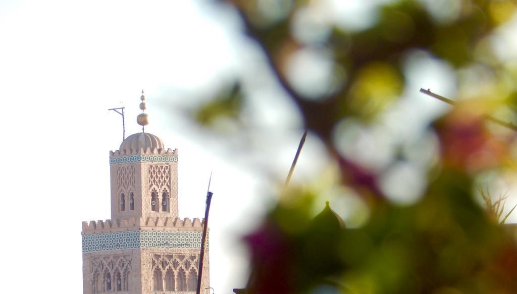 Le Coq Fou Marrakesh