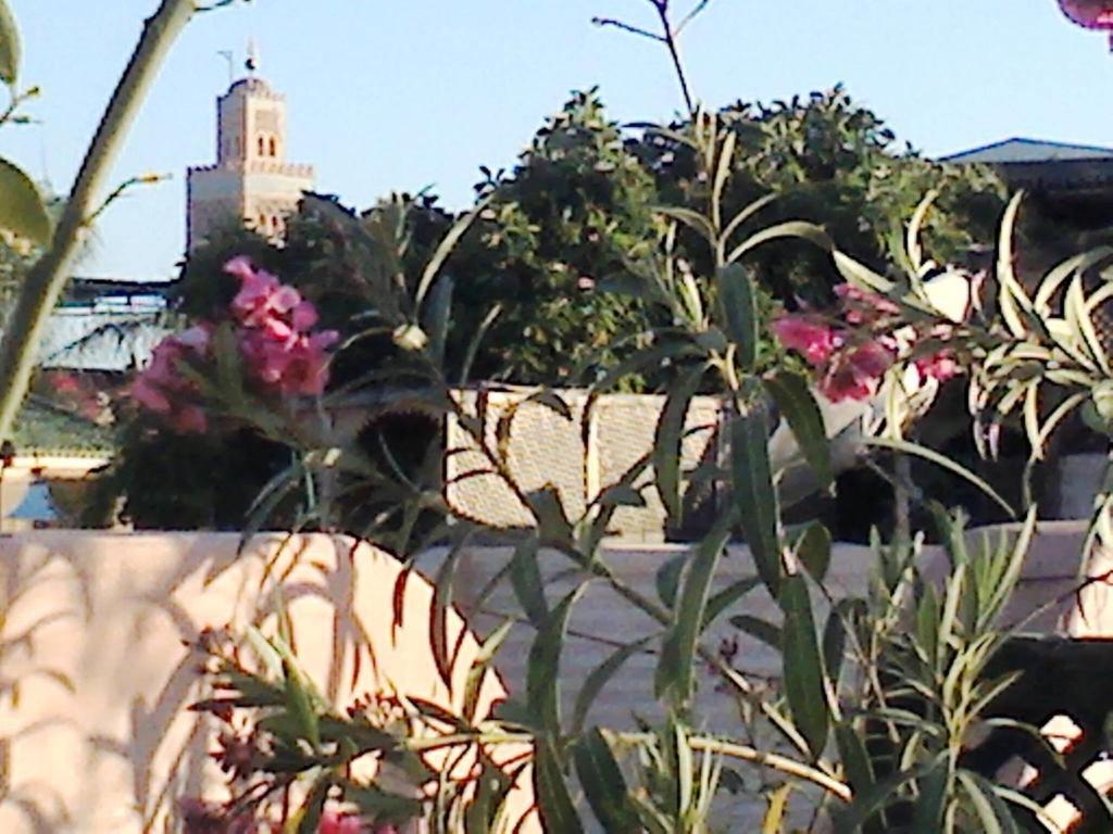 Riad Aloes & (adults Only)