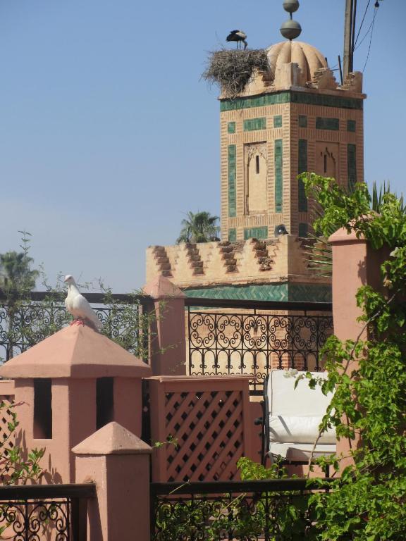 Marelia Marrakesch