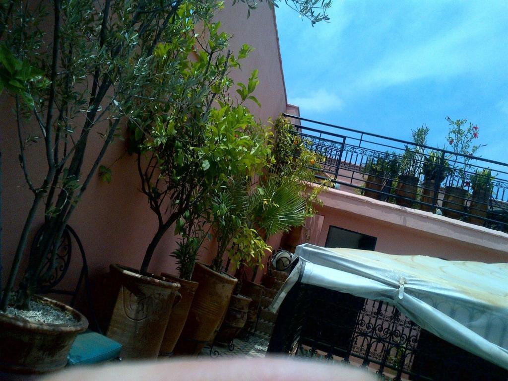 Riad Lila 4* Marrakesh