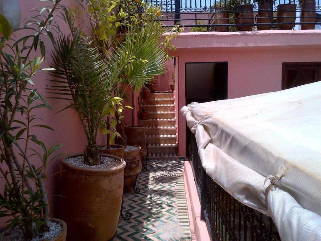 Riad Lila 4*