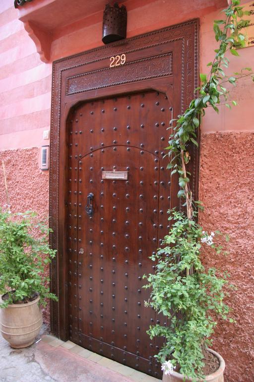 Couleurs Du Sud Riad
