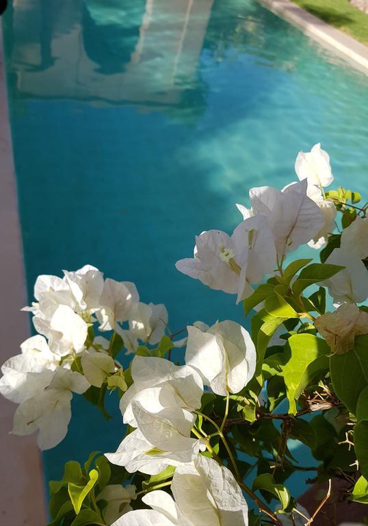 Les Jardins De Touhina Villa Marrakesch