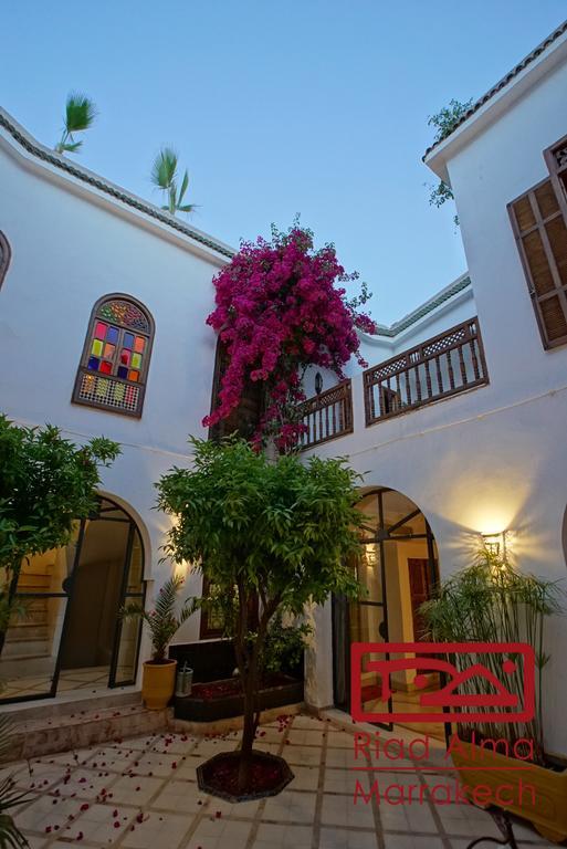 Alma Riad