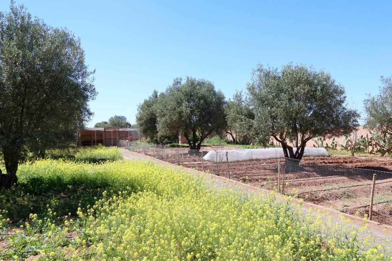 Villa Kristy