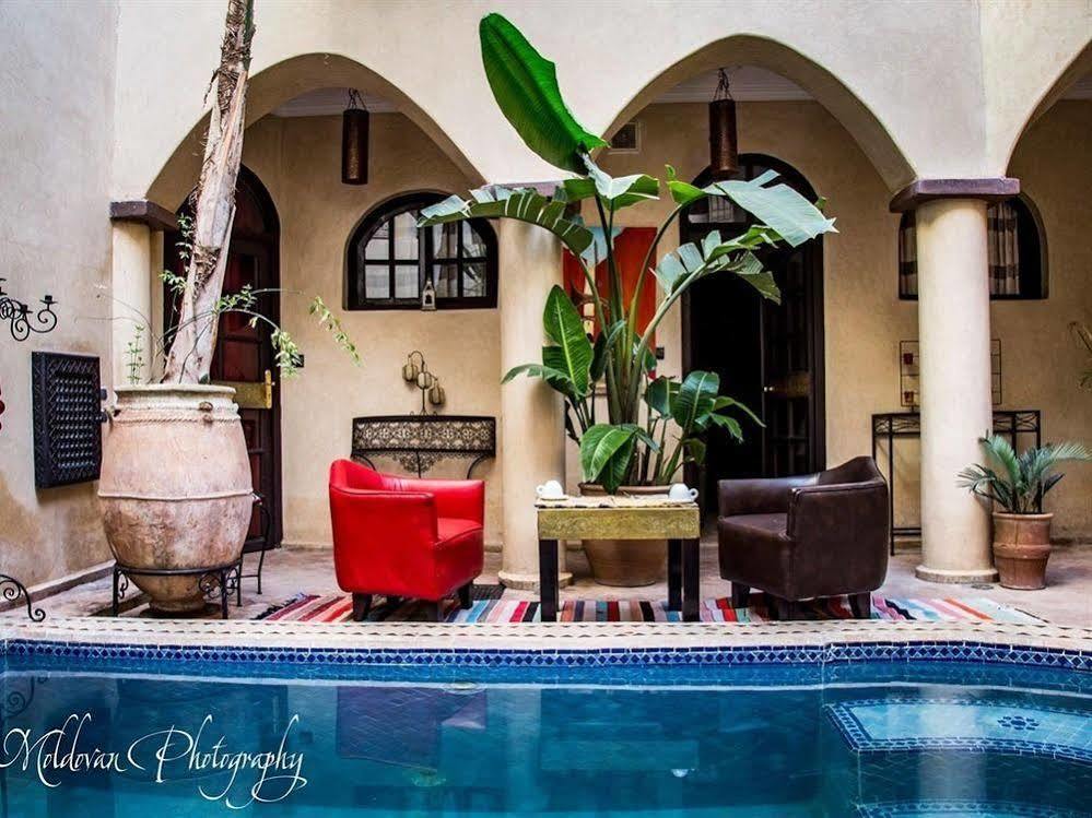 Eldar Riad 4*