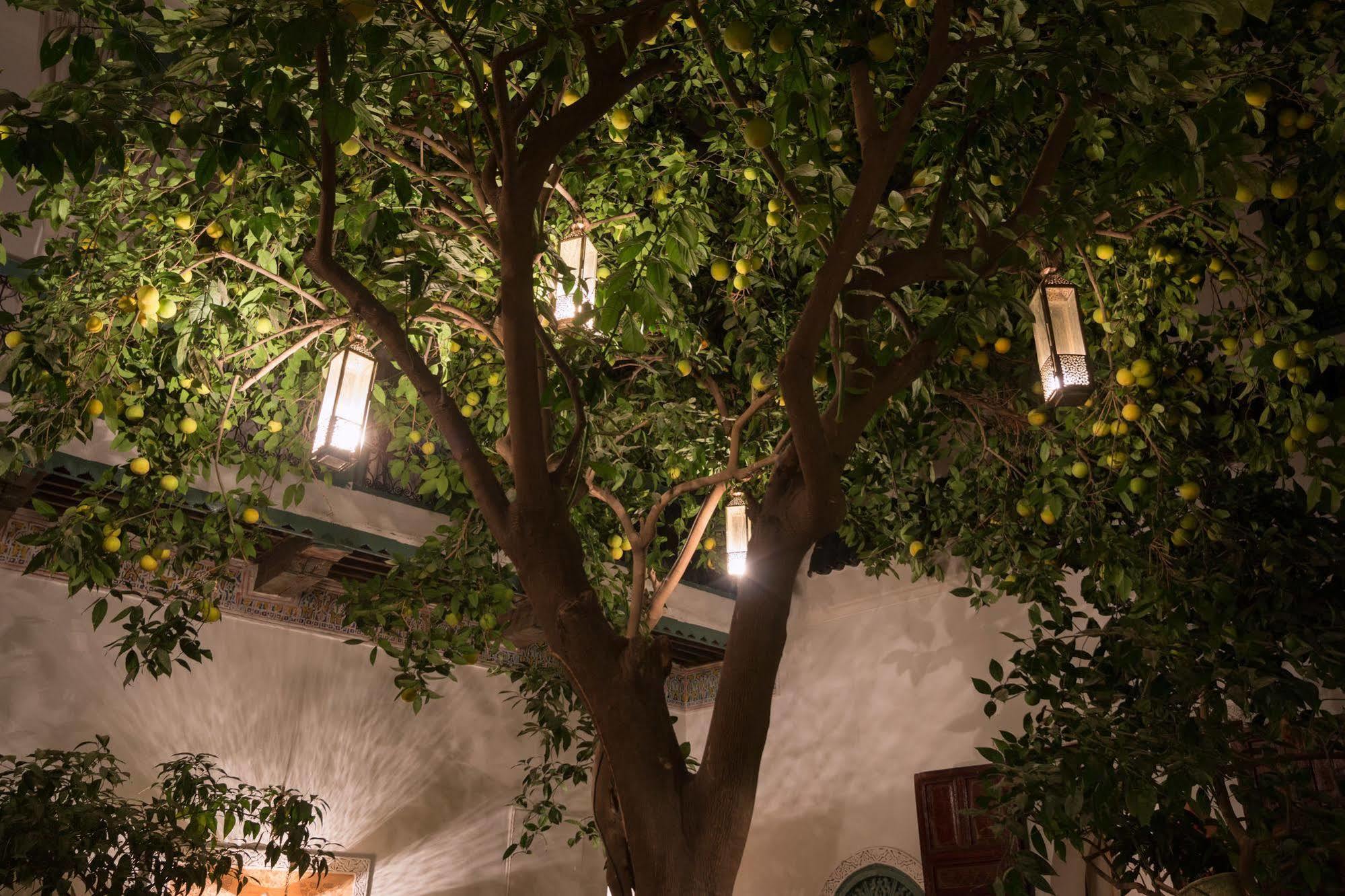 Riad Origin Hotels - Magi Marrakesh