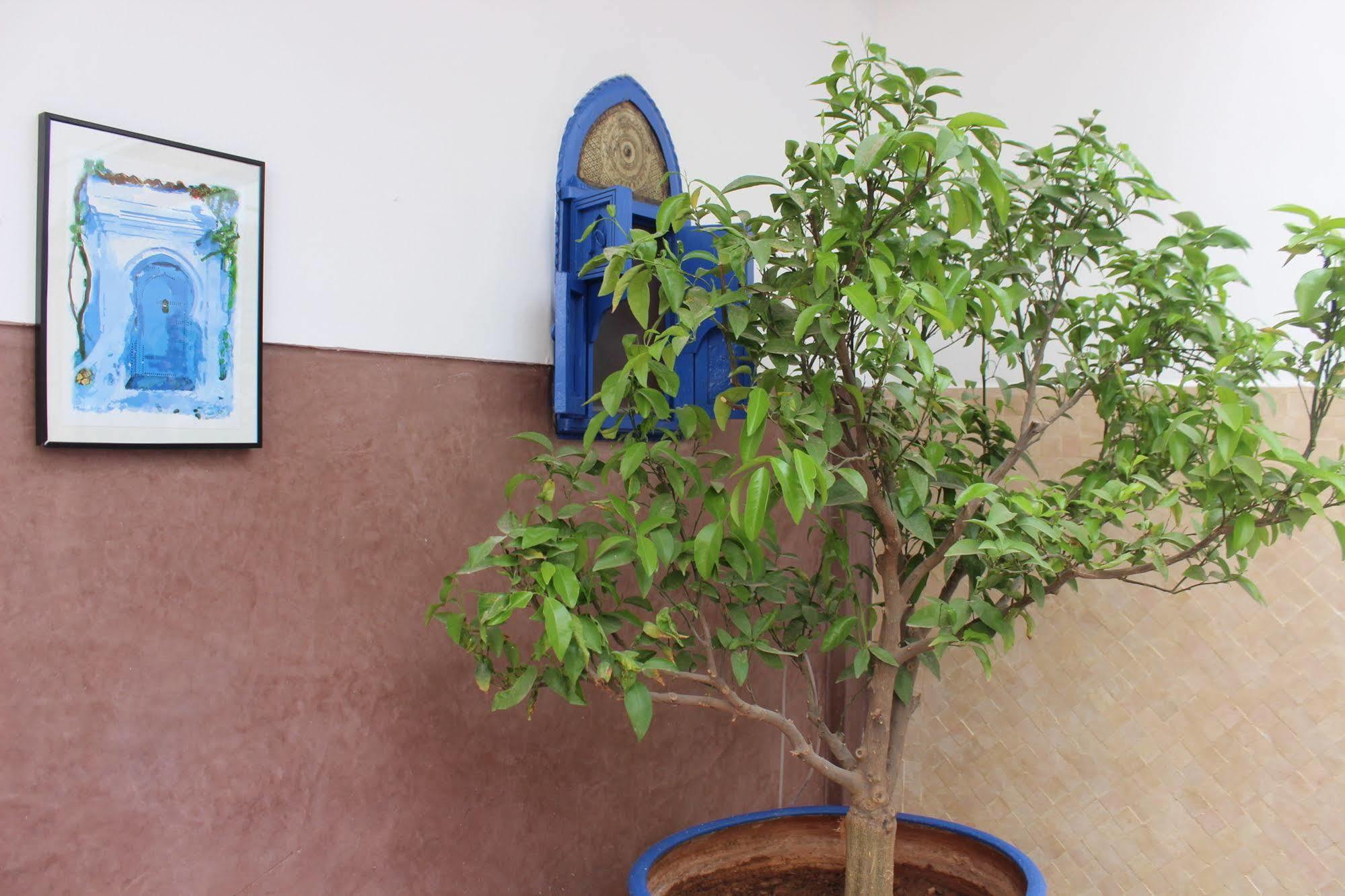 Sheba Riad