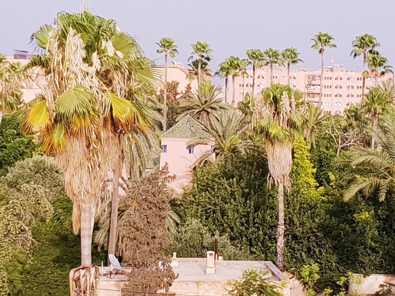 Sabor Anas Majorelle * Marrakesh