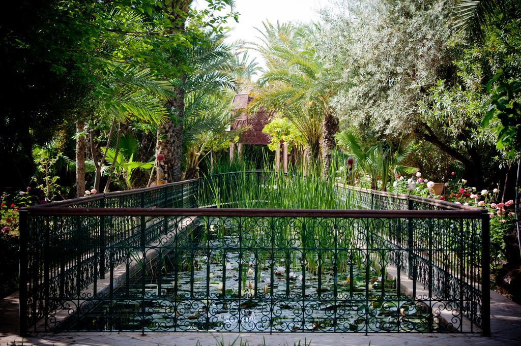 Dar Ayniwen Garden & Bird Zoo Affittacamere