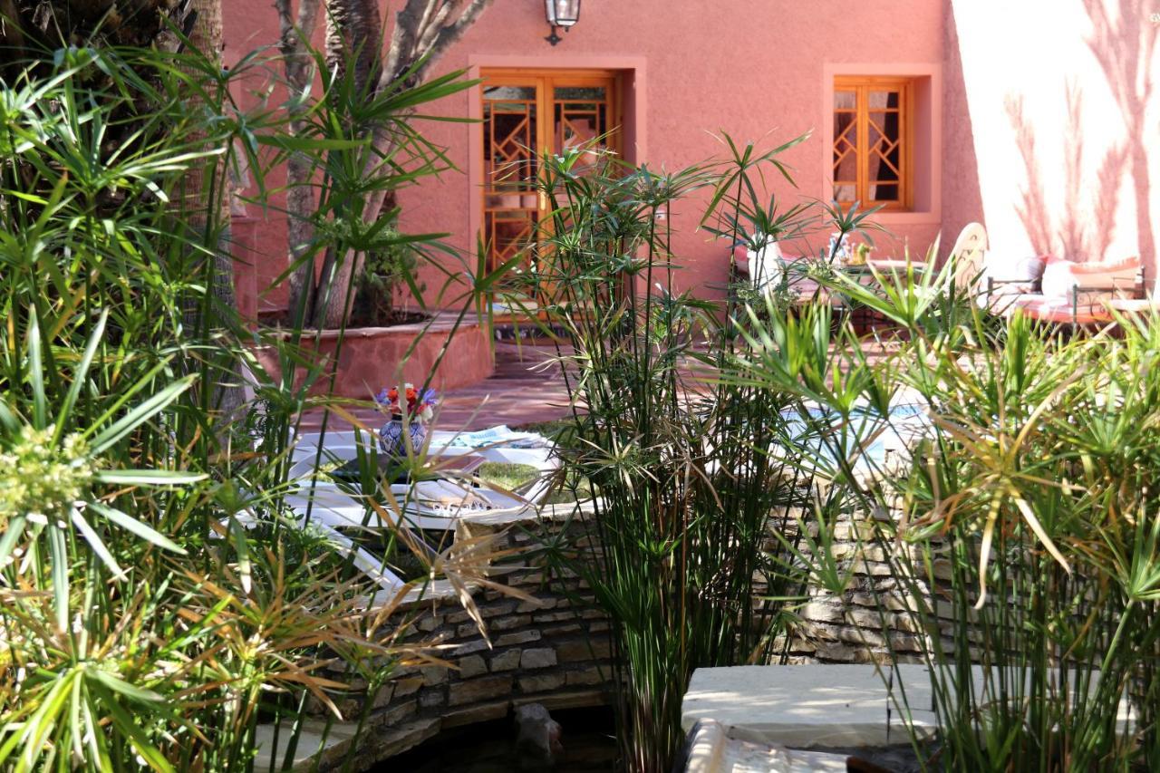 Dar Ayniwen Garden & Bird Zoo Affittacamere 5*
