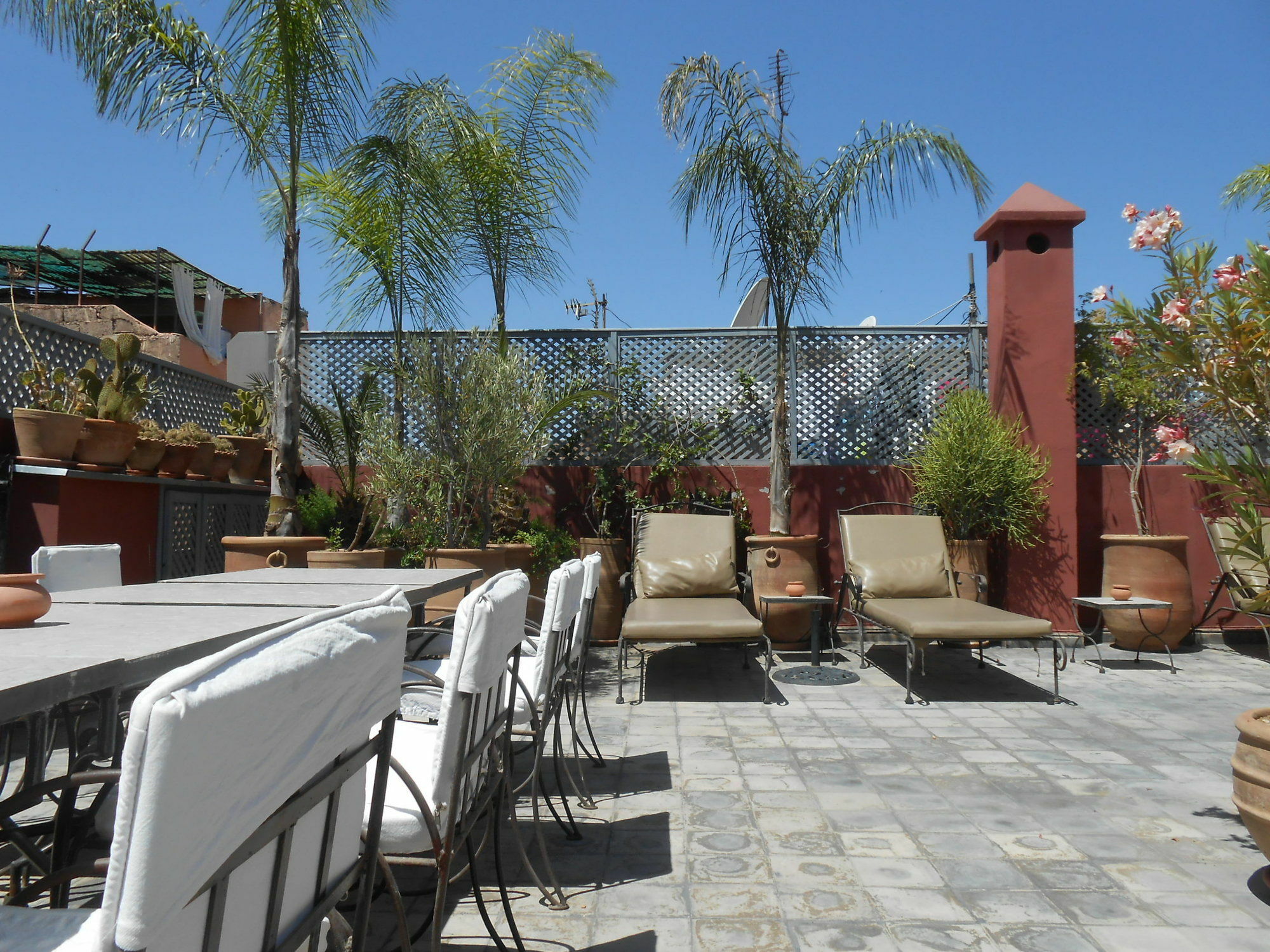 Riad Alegria 4*