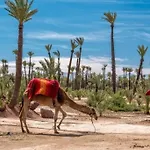 L\'Eden Suite - Marrakech Centre
