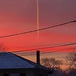 Vil