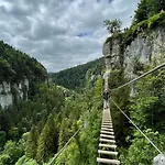 Vil