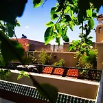 Riad Zagouda