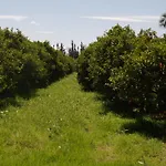 Domaine Tarik