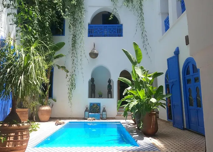 Riad Chameleon
