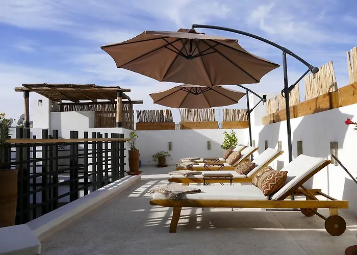Riad Zebrakaro