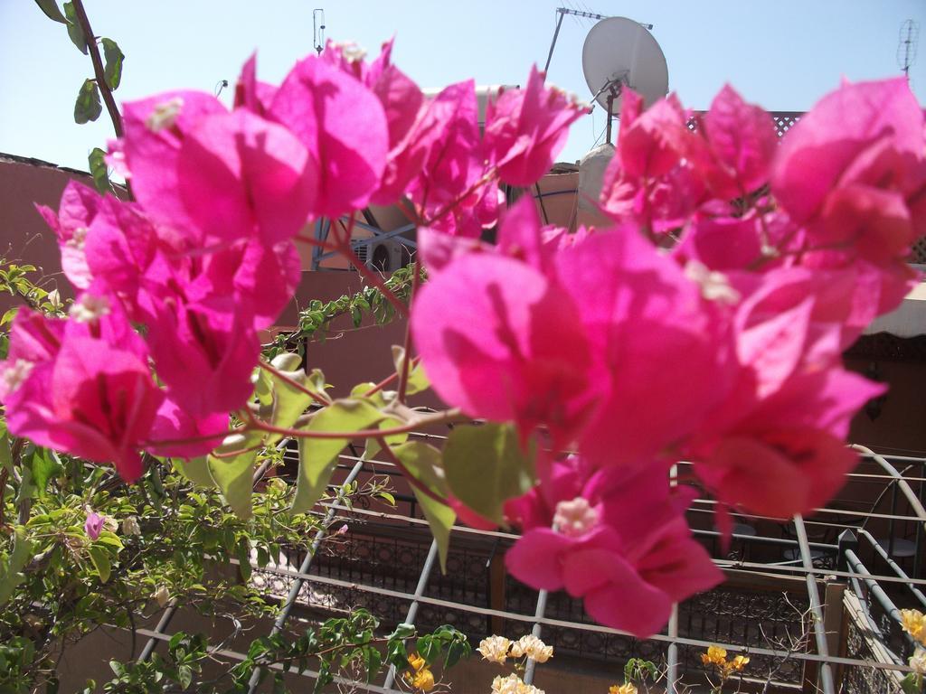 Dar Othmane Riad