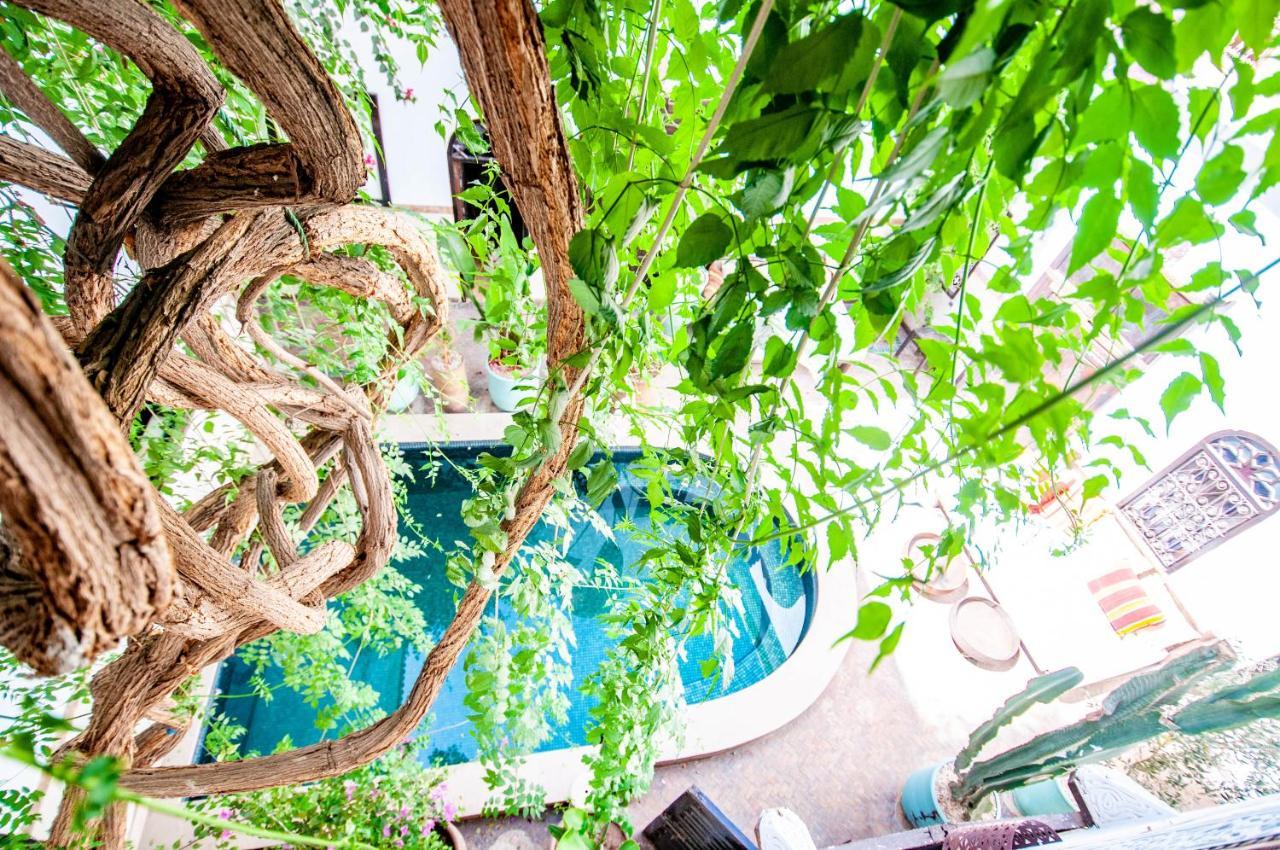Riad Hotel&spa Dar El Aila