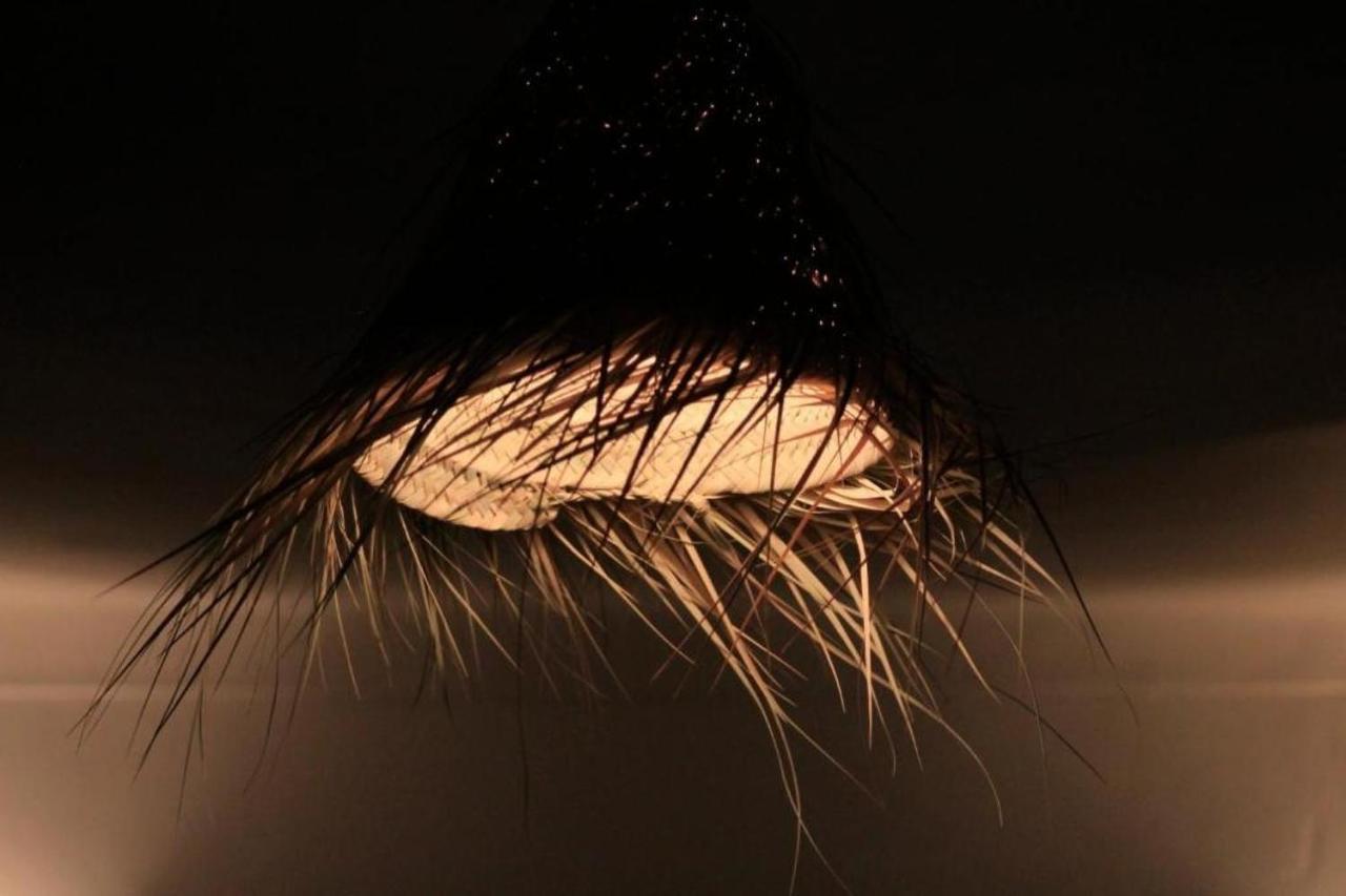 Patrice Marrakesch