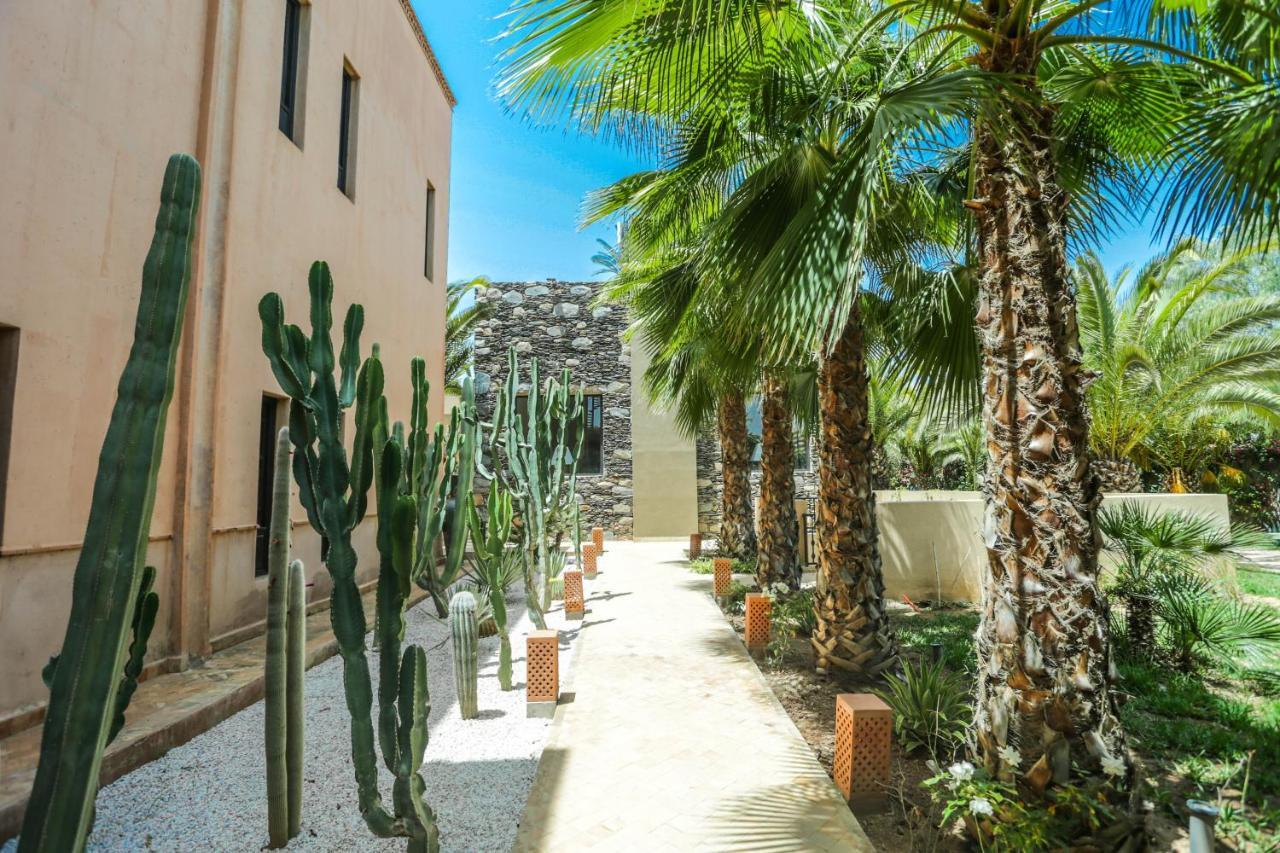 Le Perroquet Bleu Guest house