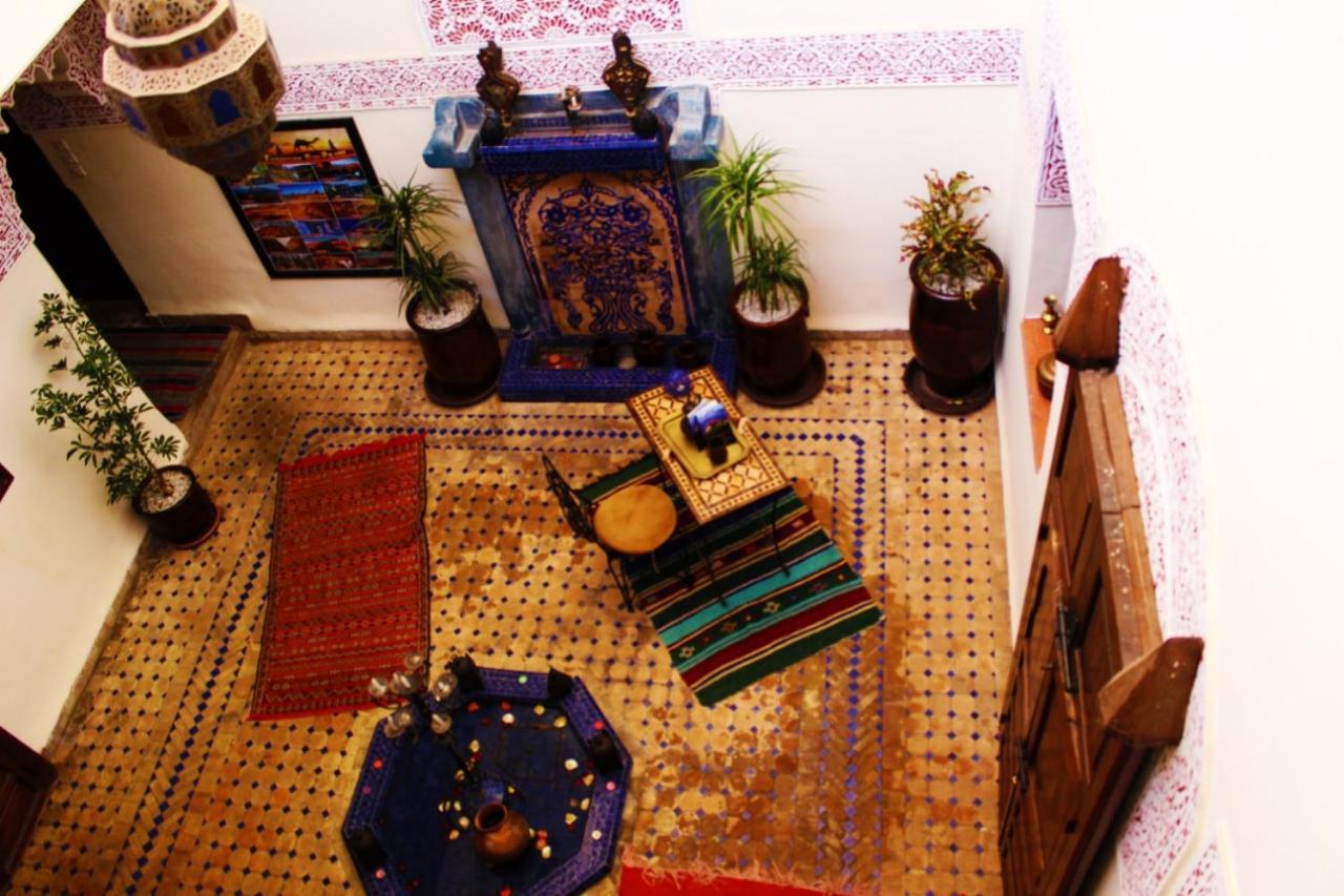 Paloma Riad
