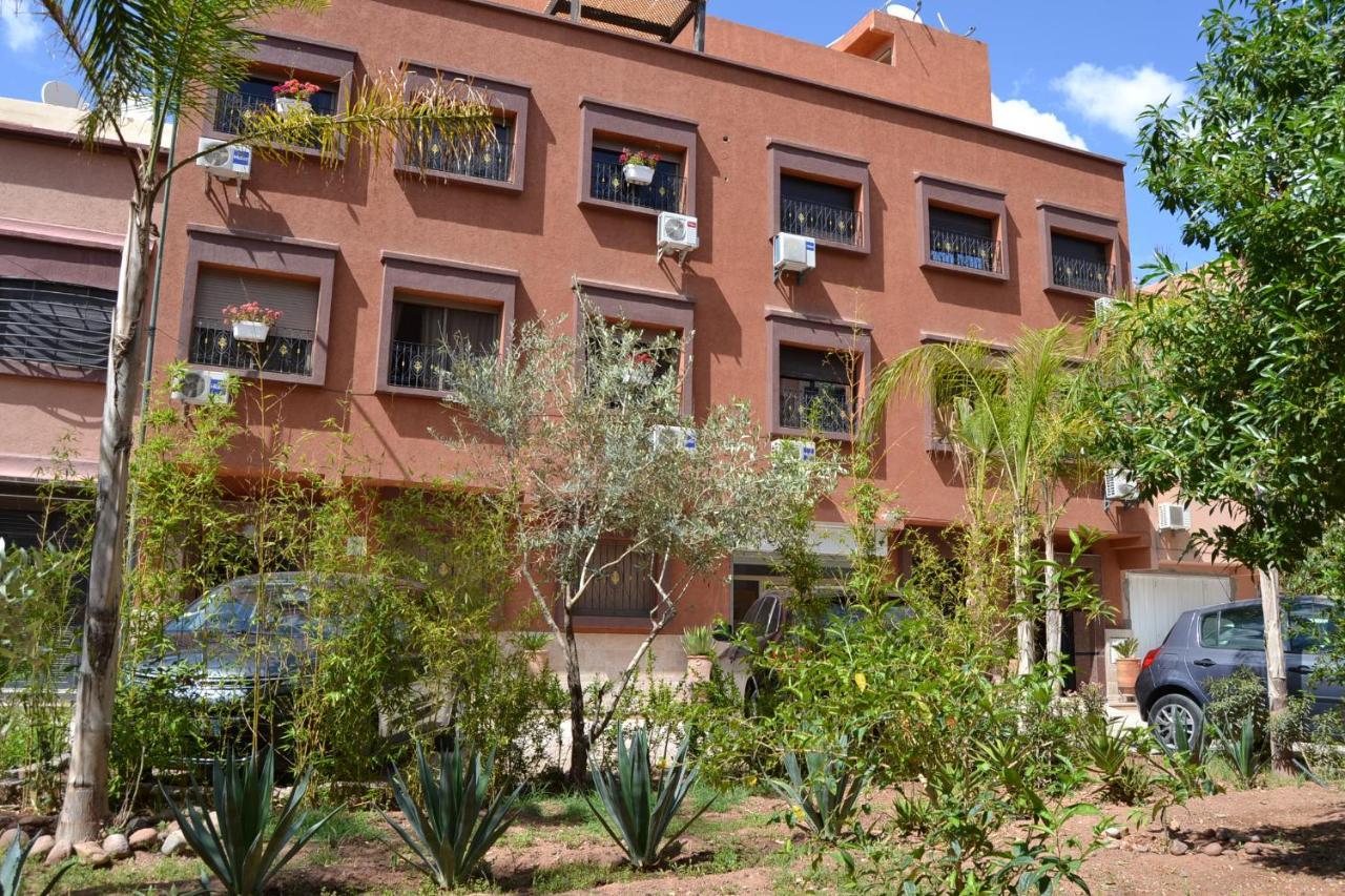 Cycas Family Aparts -fibre Optique- *