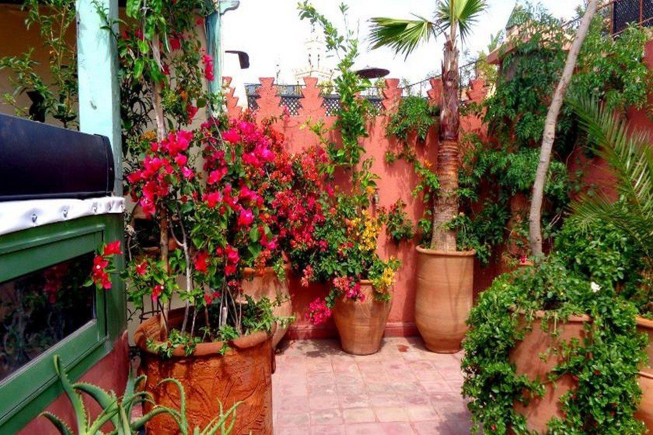 Sesame Marrakesh