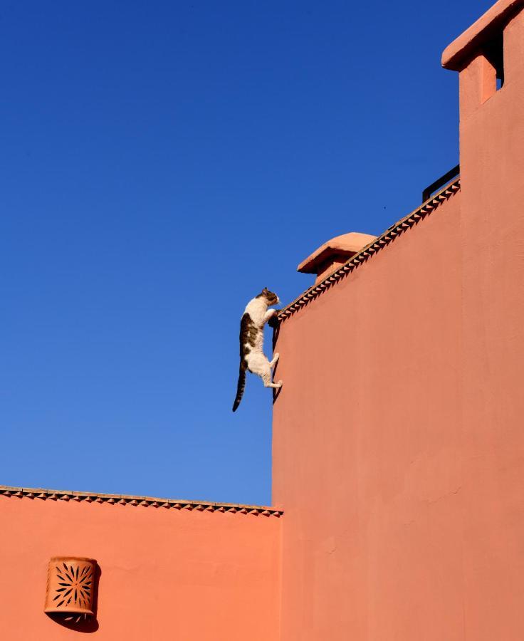 Lamzia Marrakesh