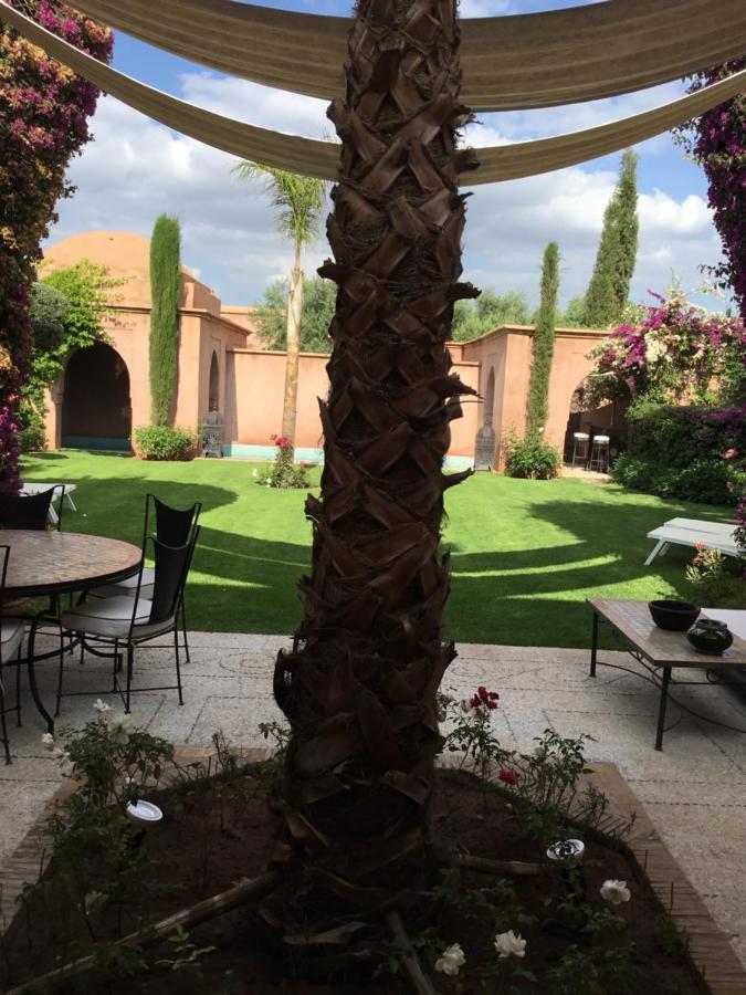 Pauline With Private Pool & Garden, Service And No Insight. Villa Marrakesh