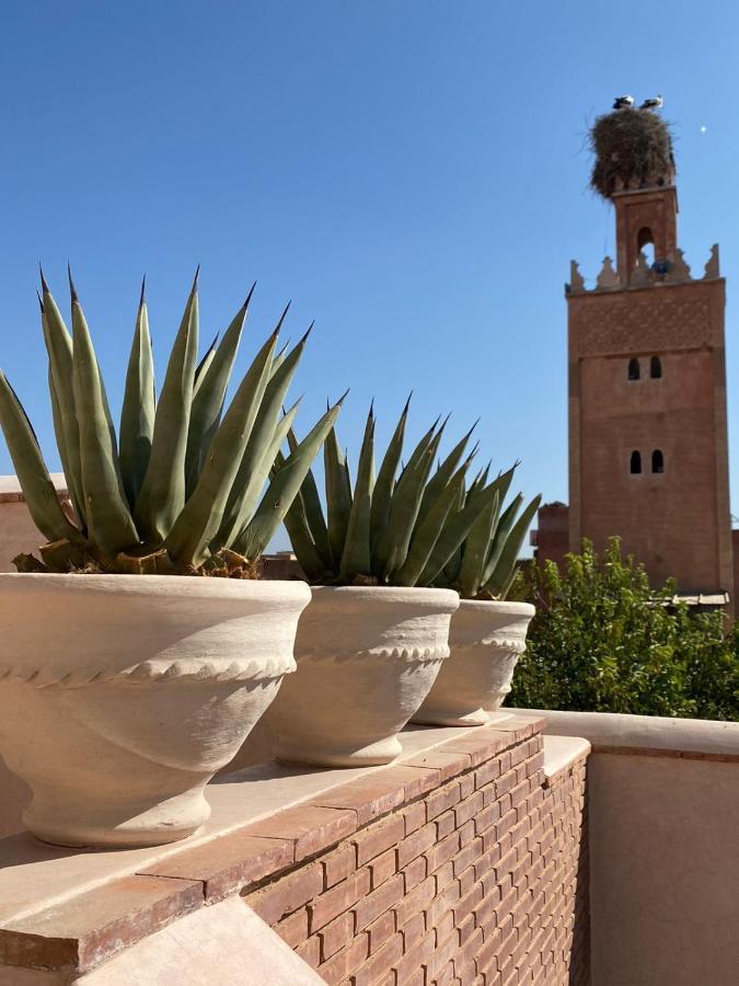 Doum Collection 1 Marrakesh