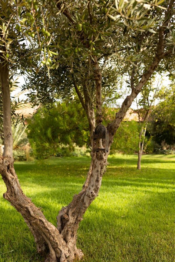 Hotel Domaine Des Remparts Hotel&spa