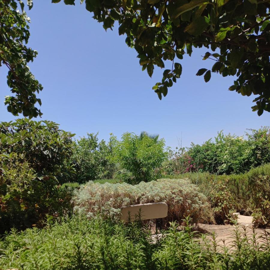 Aylal Maison d'hôtes Marrakesh