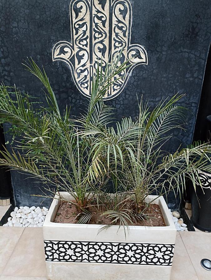 Excellence Riad Marrakesch