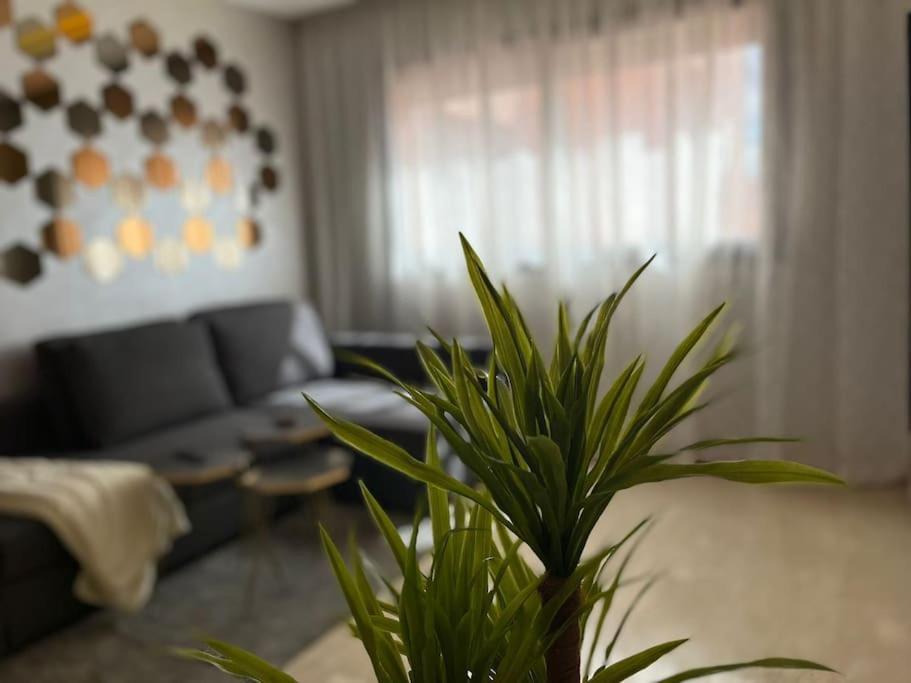 Lovely Family In Marrakech Apartment *