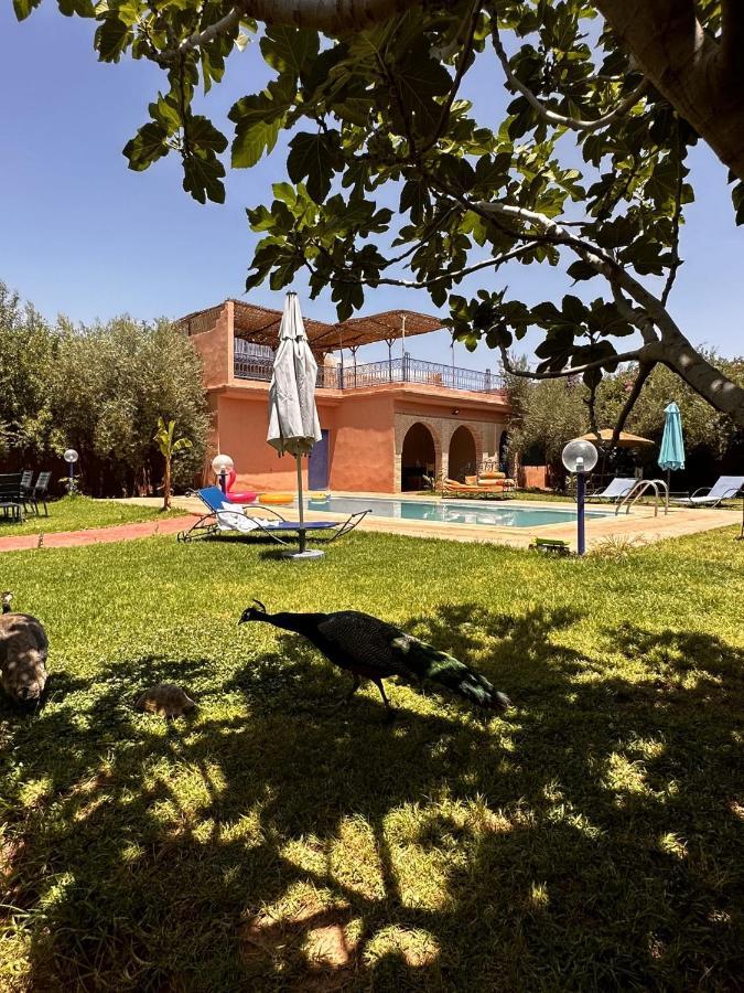 Villa Ms Holidays Mika Privatisee Marrakech *