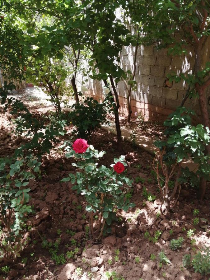 Maison Vallee De L'ourika Séjour chez l'habitant