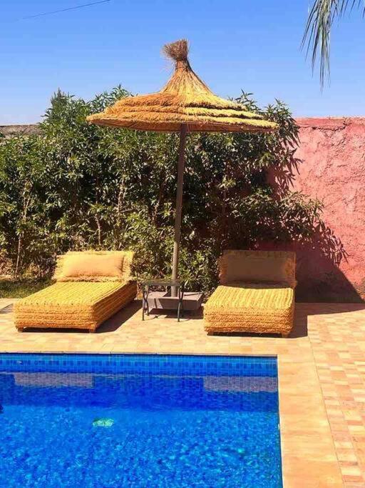 Rosa Marrakesh