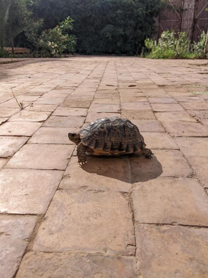 Сasa de vacaciones Dar Saafia