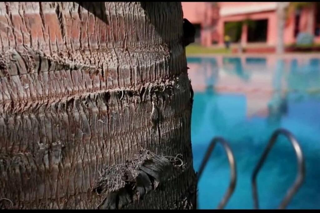 Charmante Azao, Jusqu'a 6 Chambres, Avec Piscine Et Jacuzzi Prives, En Fermee *