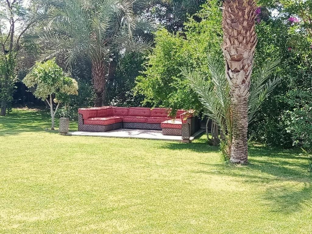 Sofia Marrakesh