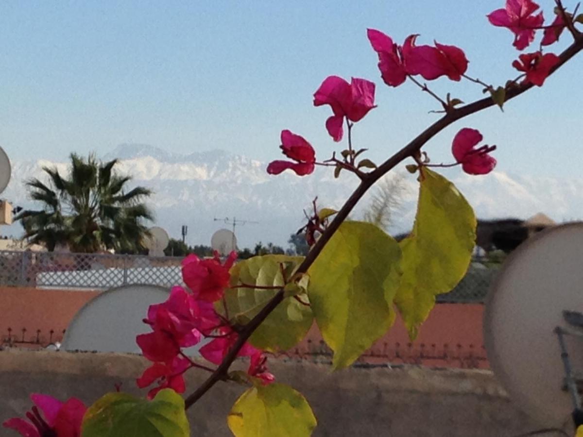 Dar Dades Holiday home *