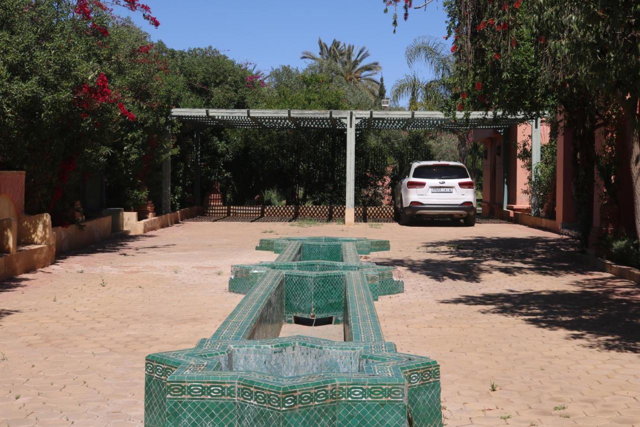 Nakhil Palm * Marrakesh