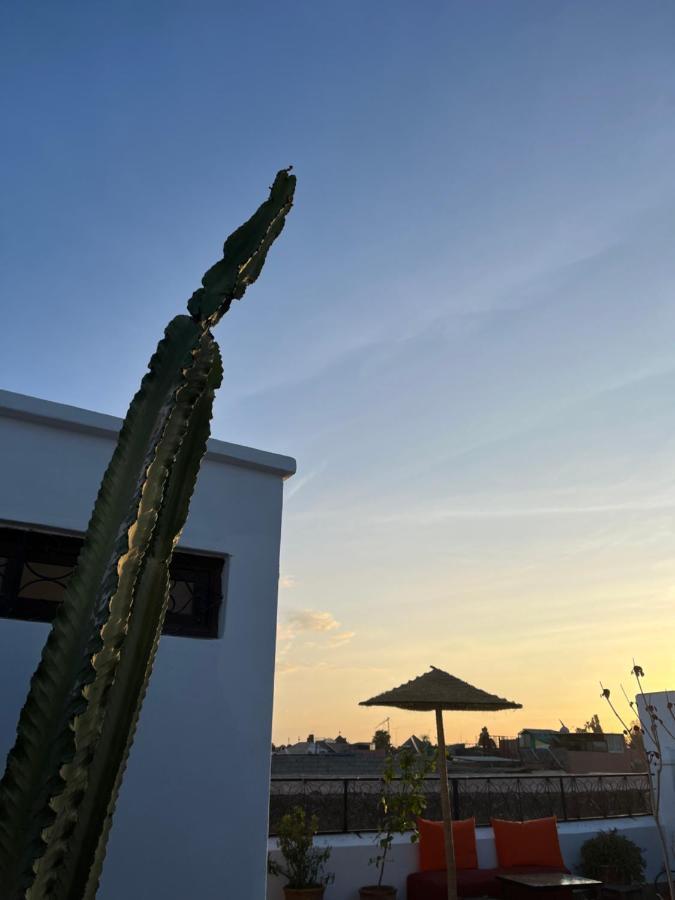Darino 3* Marrakesch