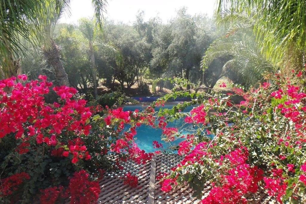 Superbe A 7 Min Du Centre Villa *