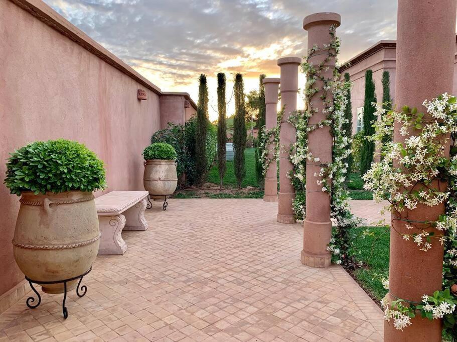 Ava Marrakesh