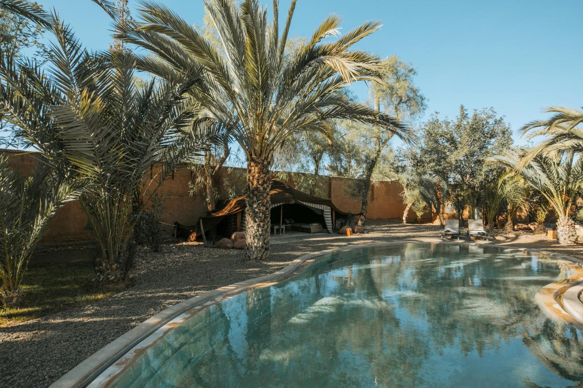 Guest house Le Perroquet Bleu Marrakesh