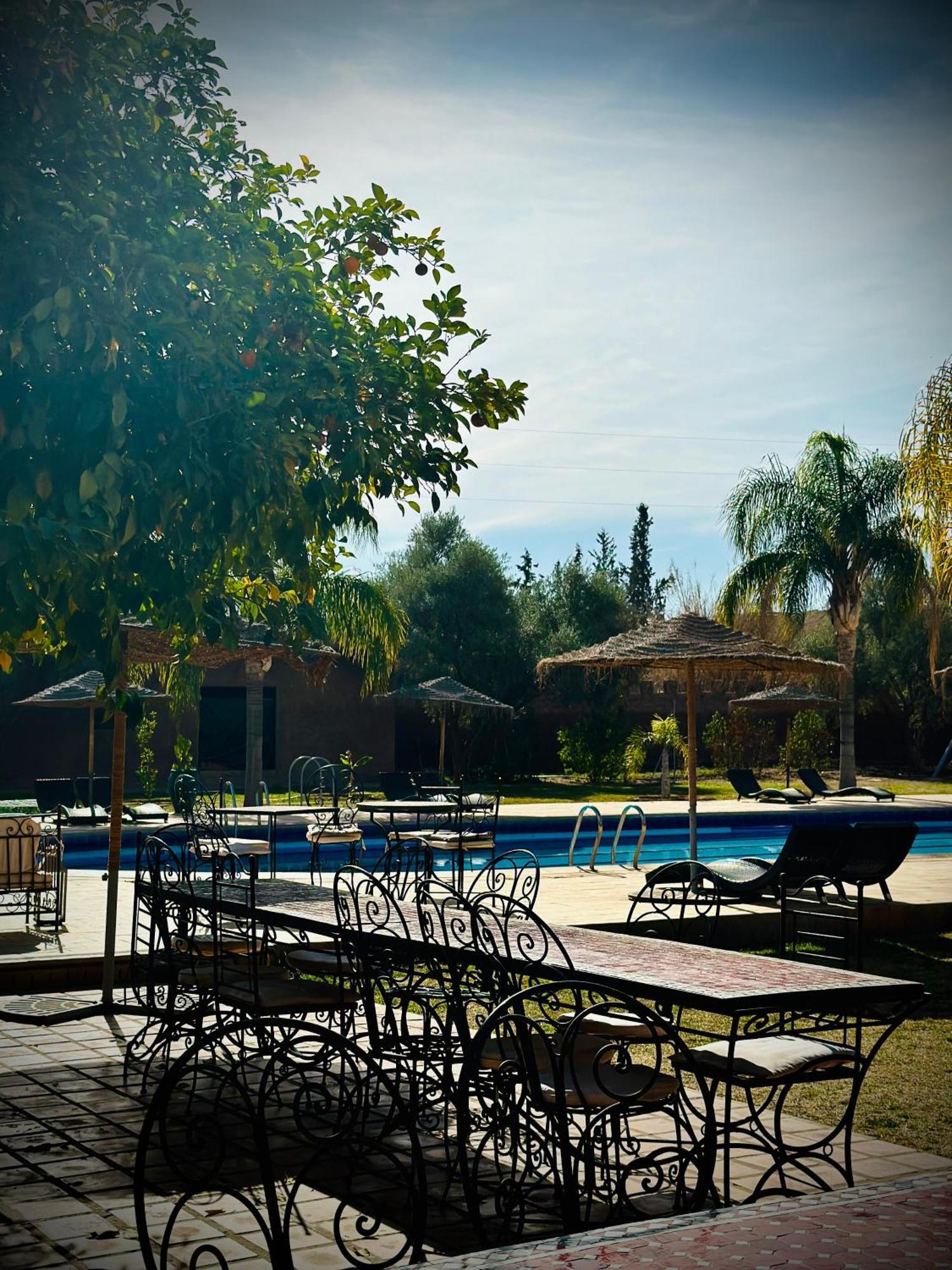 Palais Riad Berbere Marrakesh
